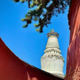 Wutai Mountain Co-branded Sachet