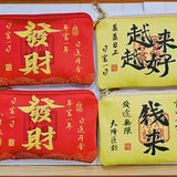 A money bag for getting rich